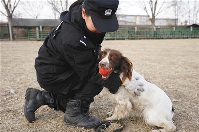 警犬队的故事